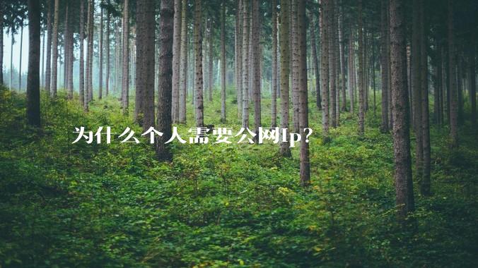 为什么个人需要公网ip？