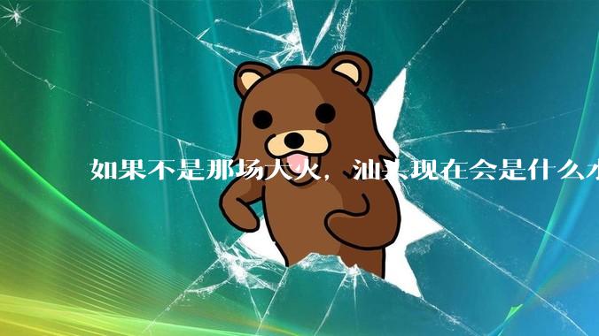 如果不是那场大火，汕头现在会是什么水平？