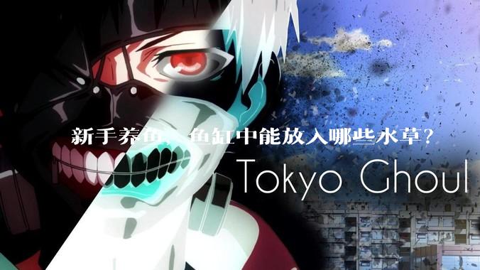 新手养鱼，鱼缸中能放入哪些水草？