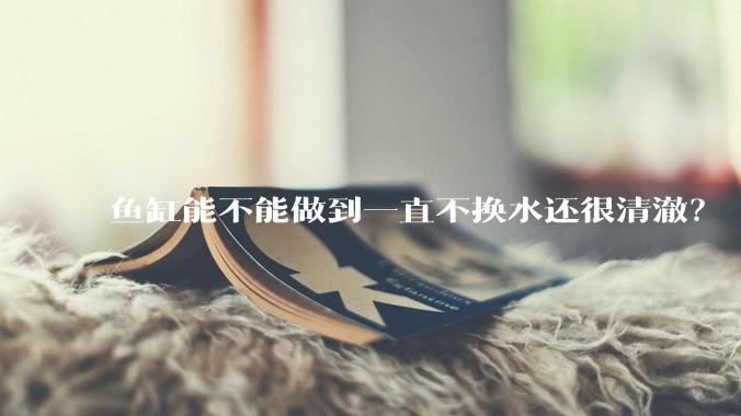 鱼缸能不能做到一直不换水还很清澈？