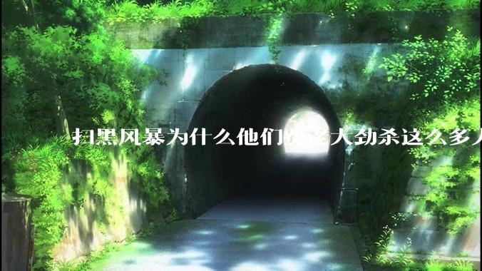 扫黑风暴为什么他们费老大劲杀这么多人不如直接把督导组干掉？