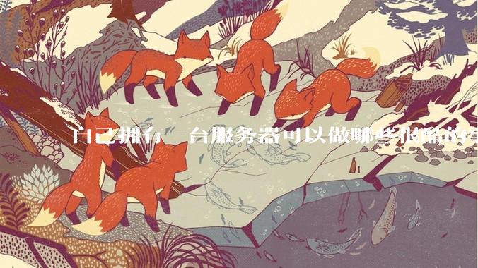 自己拥有一台服务器可以做哪些很酷的事情？