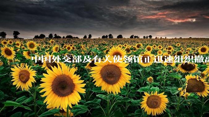 中国外交部及有关使领馆正迅速组织撤离在以、伊的中国公民，目前当地情况如何？