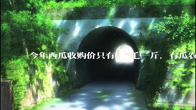 今年西瓜收购价只有 2 毛一斤，有瓜农把西瓜扔池塘，现在超市西瓜仍几元一斤，为何会这样？