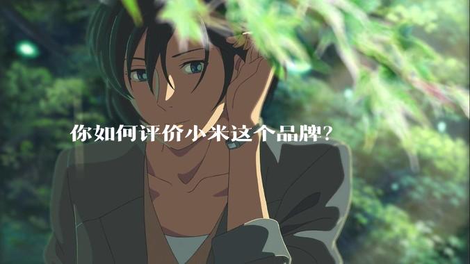 你如何评价小米这个品牌？