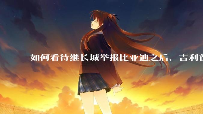 如何看待继长城举报比亚迪之后，吉利首次公开支持长城，广汽也力挺吉利发言，奇瑞说价格战是饮鸩止渴？