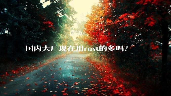 国内大厂现在用rust的多吗？